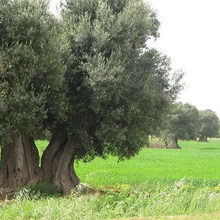 Séjour à la ferme Masseria Asciano *