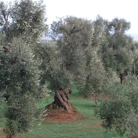 Κατάλυμα σε φάρμα Masseria Asciano Ostuni