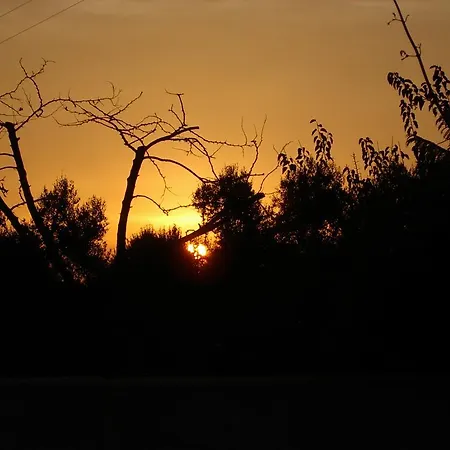 Séjour à la ferme Masseria Asciano *