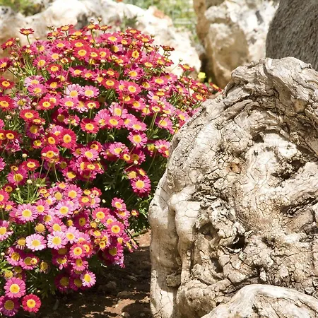 Masseria Asciano Κατάλυμα σε φάρμα Ostuni
