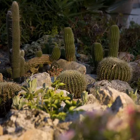 Masseria Asciano Séjour à la ferme