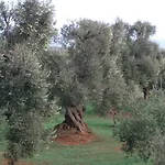 Farm stay Masseria Asciano Ostuni