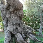 Masseria Asciano Farm stay Ostuni
