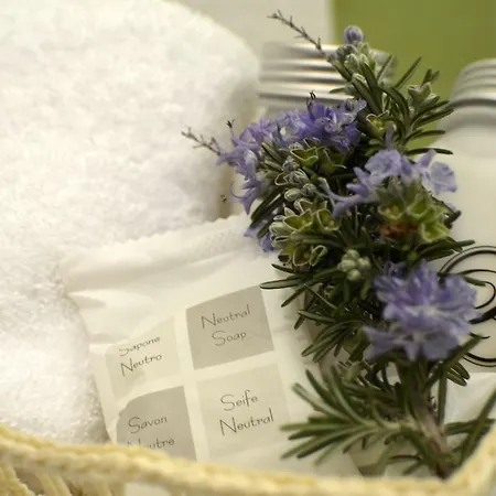 农家乐 马斯尔日亚艾斯纳酒店 奥斯图尼