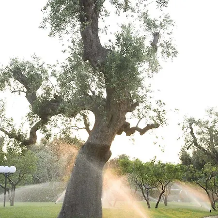 Masseria Asciano Ostuni