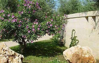 בית חווה Masseria Asciano אוסטוני